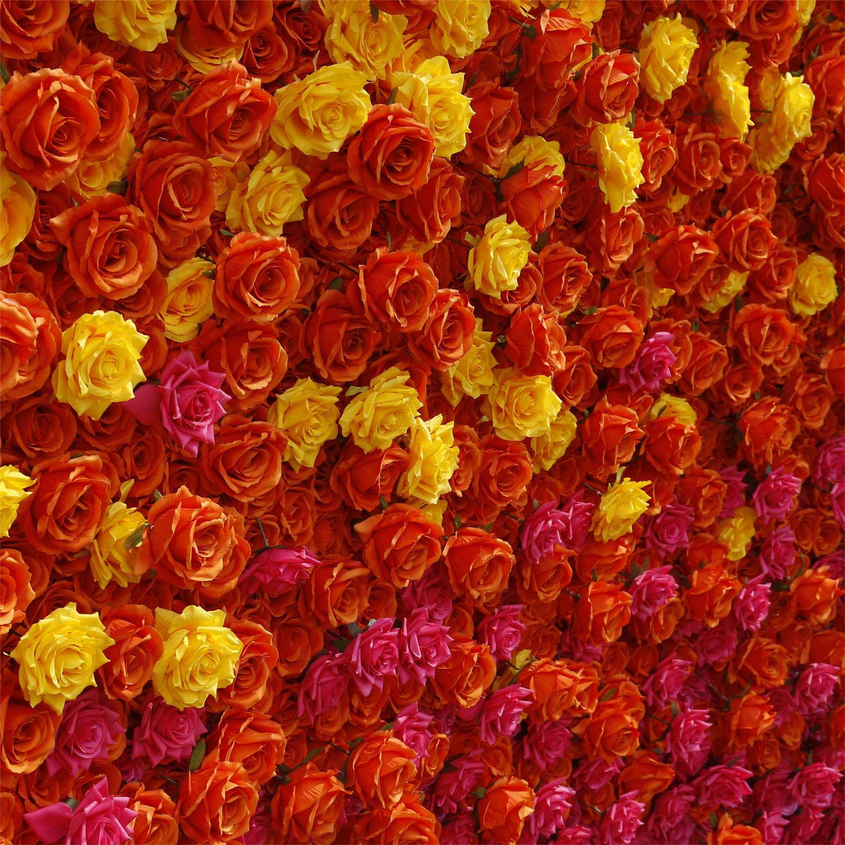 Aliflowers 5D Gradient Rose Orange to Red Sunset Flower Walls ALFWL121 - Ali Flowers