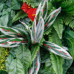 Synthetic Artificial Plant Vertical Garden Decoration Grass Wall Backdrop ALFWL143 - Ali Flowers